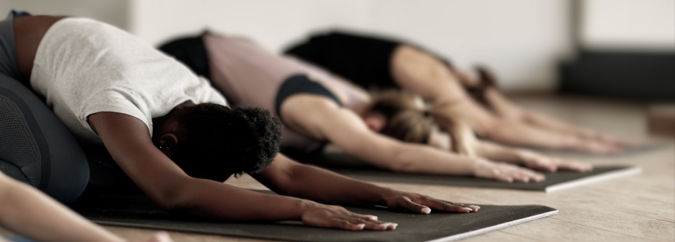 People in yoga poses